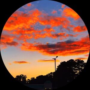 Meet your Posher, Jasmin